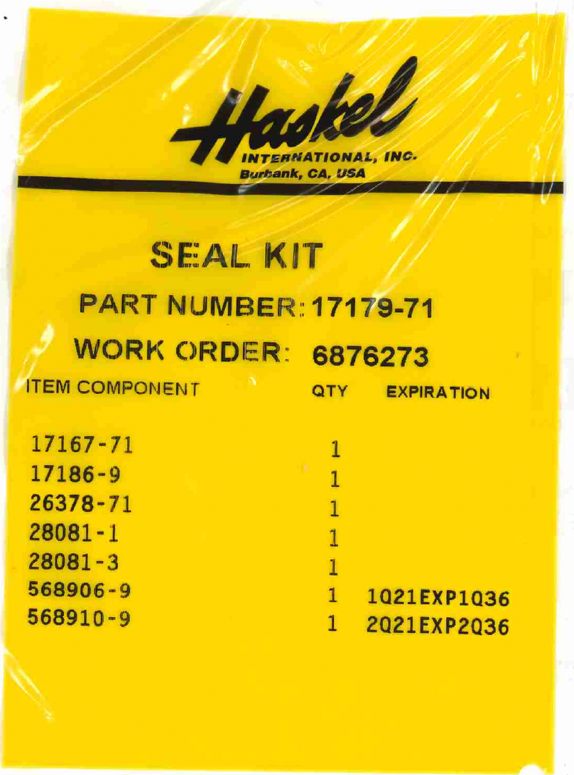 Haskel 17179-71 Seal Kit